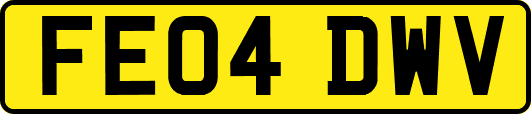 FE04DWV