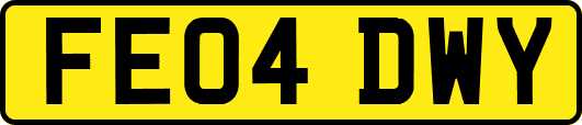 FE04DWY