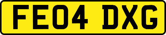 FE04DXG