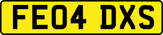 FE04DXS
