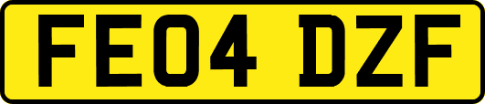 FE04DZF