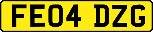 FE04DZG