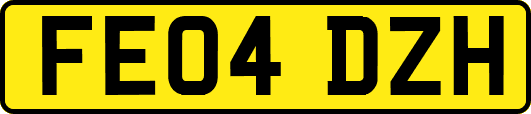 FE04DZH