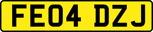 FE04DZJ