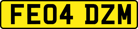 FE04DZM