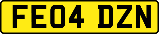 FE04DZN