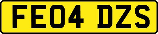 FE04DZS