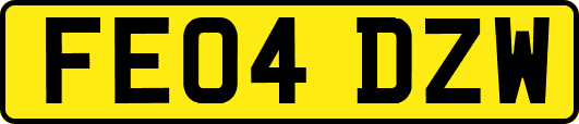 FE04DZW