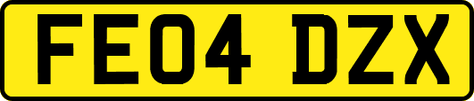 FE04DZX