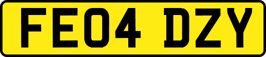 FE04DZY