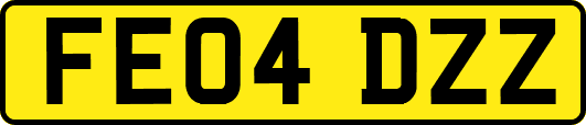 FE04DZZ