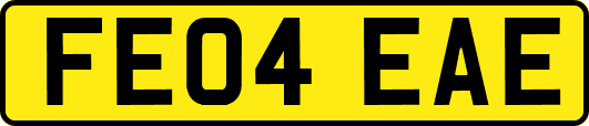 FE04EAE