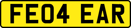 FE04EAR