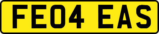 FE04EAS