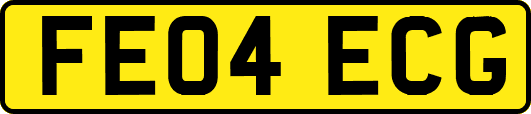 FE04ECG