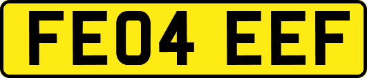 FE04EEF