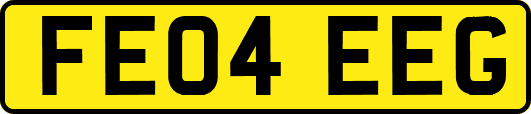 FE04EEG
