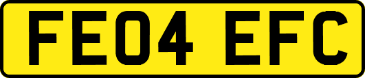 FE04EFC