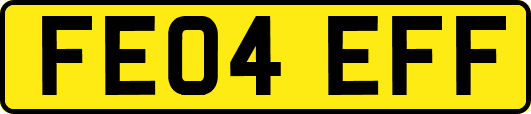 FE04EFF