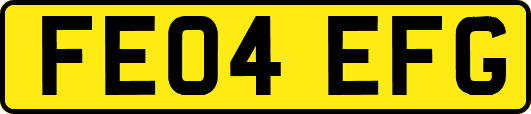 FE04EFG