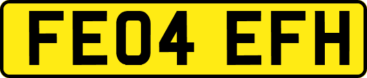 FE04EFH
