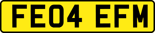FE04EFM