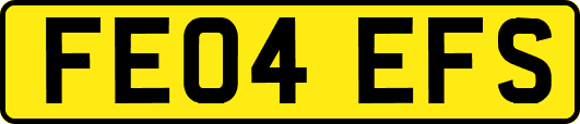 FE04EFS