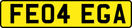 FE04EGA