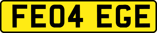 FE04EGE