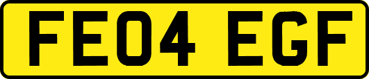 FE04EGF