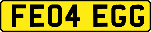FE04EGG