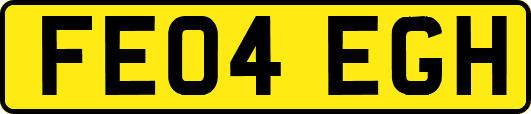 FE04EGH