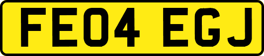 FE04EGJ
