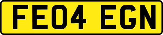 FE04EGN