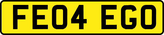 FE04EGO