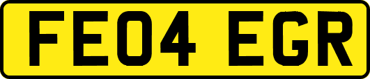 FE04EGR