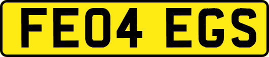 FE04EGS