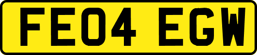 FE04EGW