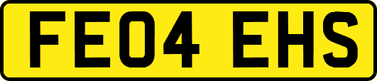 FE04EHS