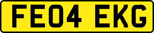 FE04EKG