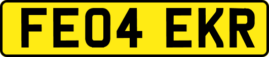 FE04EKR