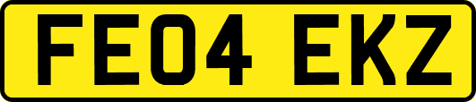 FE04EKZ