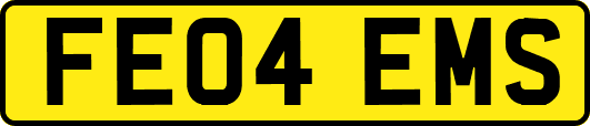 FE04EMS