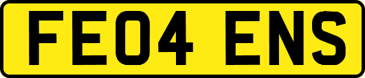 FE04ENS