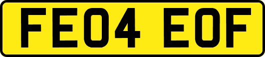FE04EOF