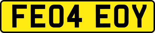FE04EOY