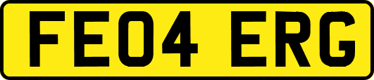 FE04ERG