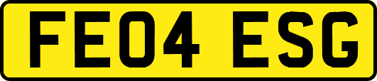 FE04ESG