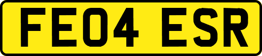 FE04ESR
