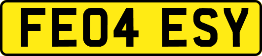 FE04ESY